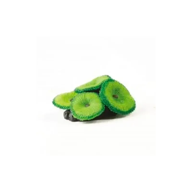 Kunstkoraal ricordea mushroom groen Actieprijs