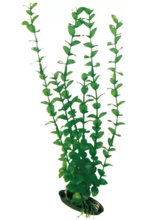 Fabrieksprijs Wave Plant Classic