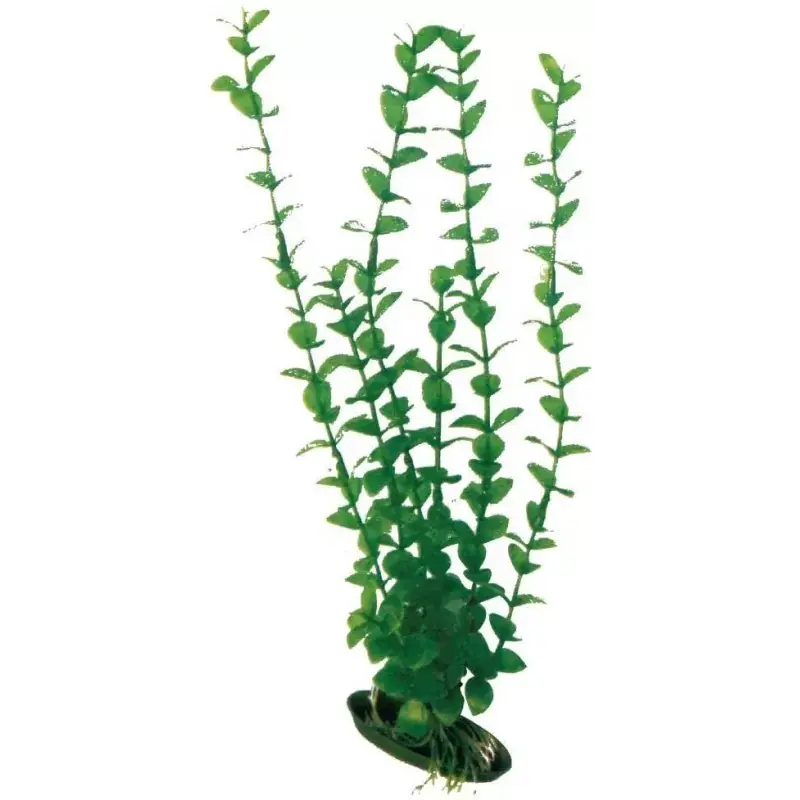 Fabrieksprijs Wave Plant Classic
