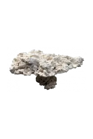 Exclusieve Aanbieding Marcorock Pedestal Rock Natural Top