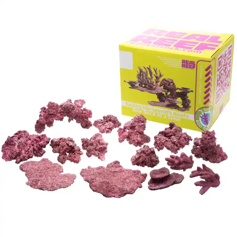Snelle Levering Real Reef Mini Mix - 9-10 stuks