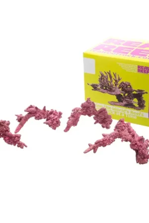 Real Reef Fancy Arches - 4 stuks Flitsaanbieding