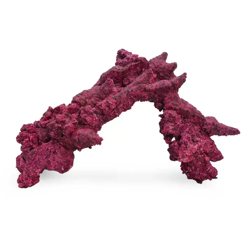 Real Reef Arches - Extra Large 2 stuks Lage Kosten