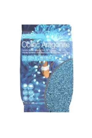Oolitic Aragonite 4,5 kg Blue Uitverkoop