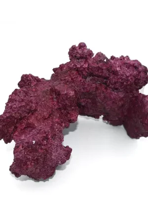 Real Reef Arches - 4 stuks per box Gecertificeerd