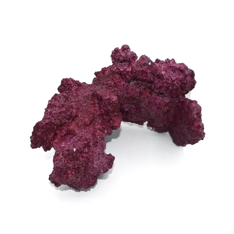 Real Reef Arches - 4 stuks per box Gecertificeerd