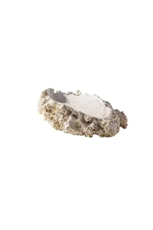Arka tridacna holder M-size Flitsaanbieding