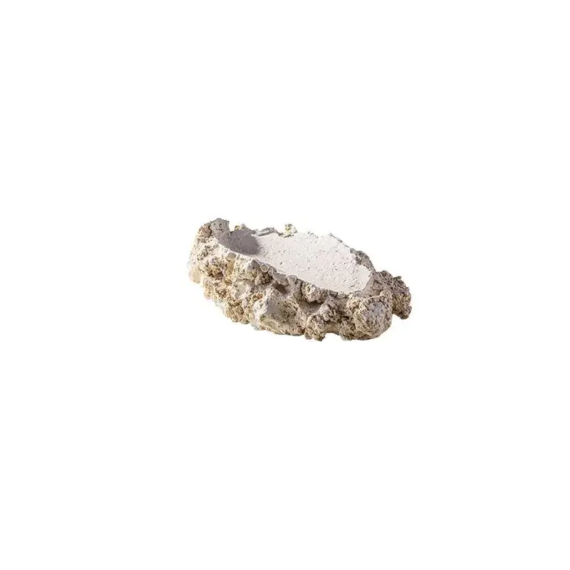 Arka tridacna holder M-size Flitsaanbieding
