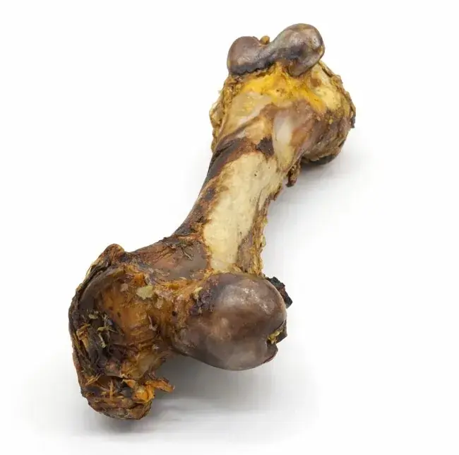 Puur Fit Dino XXL Rund 1 st. Actieprijs