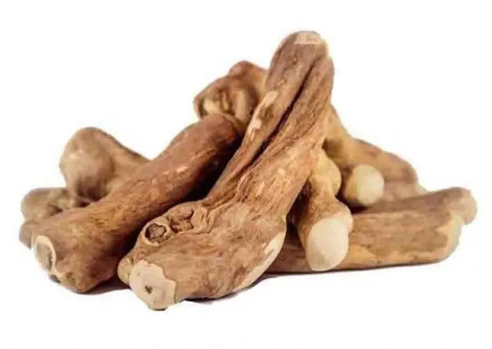 Snelle Levering Puur Fit Koffieboom Kauwwortel S