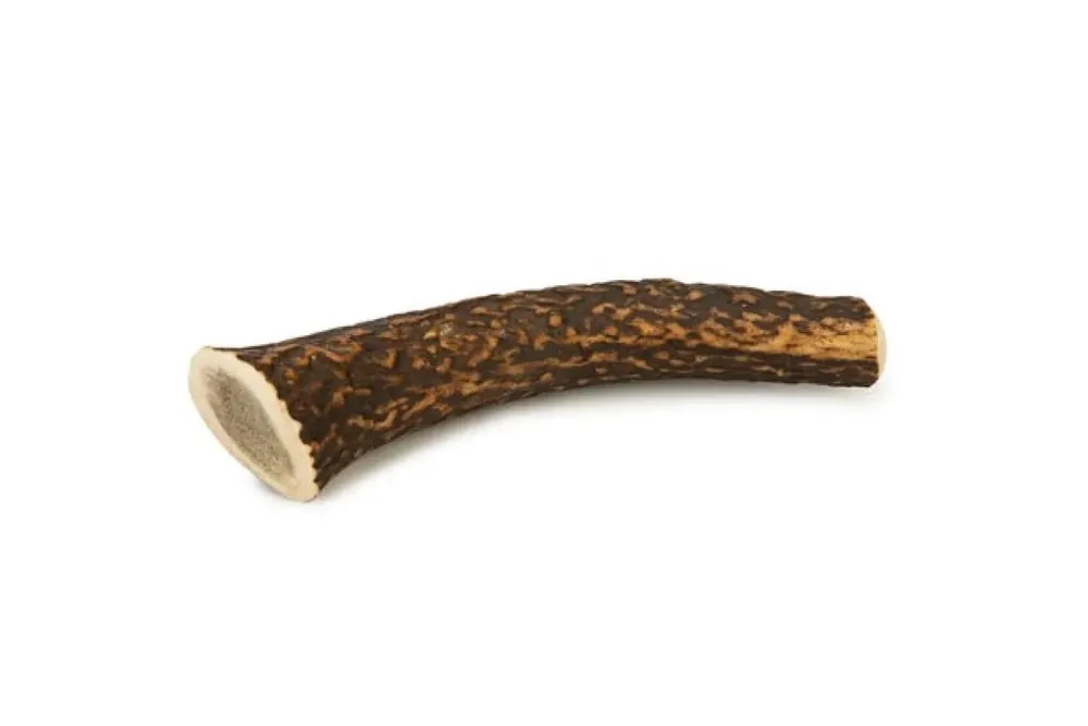 Shop Nu Beeztees Hertengewei - Hondensnack - 1st - L - ca 150 gram