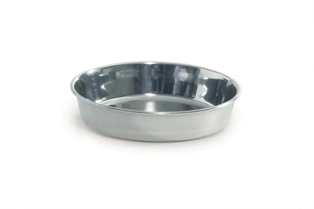 Aanbieding Steeldish Economic Kat Klein 11 cm