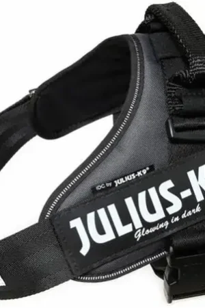 Shop Nu Julius-K9 Power Harnas Mini-S Zwart