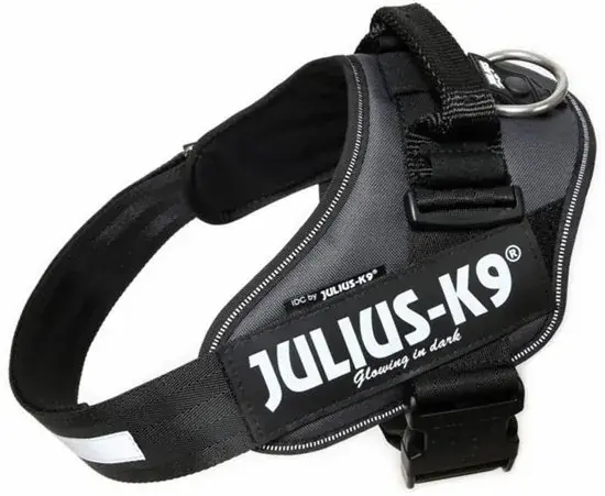 Shop Nu Julius-K9 Power Harnas Mini-S Zwart