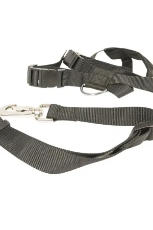 Veiligheidsharnas Hond Auto S 45-70 cm Lage Prijs