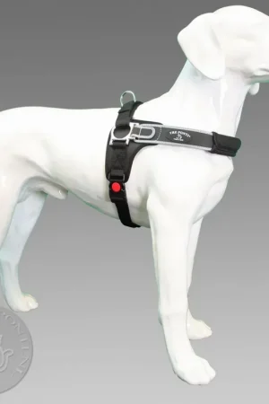 Tre Ponti Forza Reflective Xxl Zwart 40-60 kg Gecertificeerd