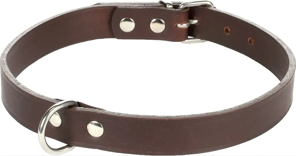 Tijdelijk Beschikbaar Flamingo Halsband Seattle Bruin XS 18-21 cm 10 mm