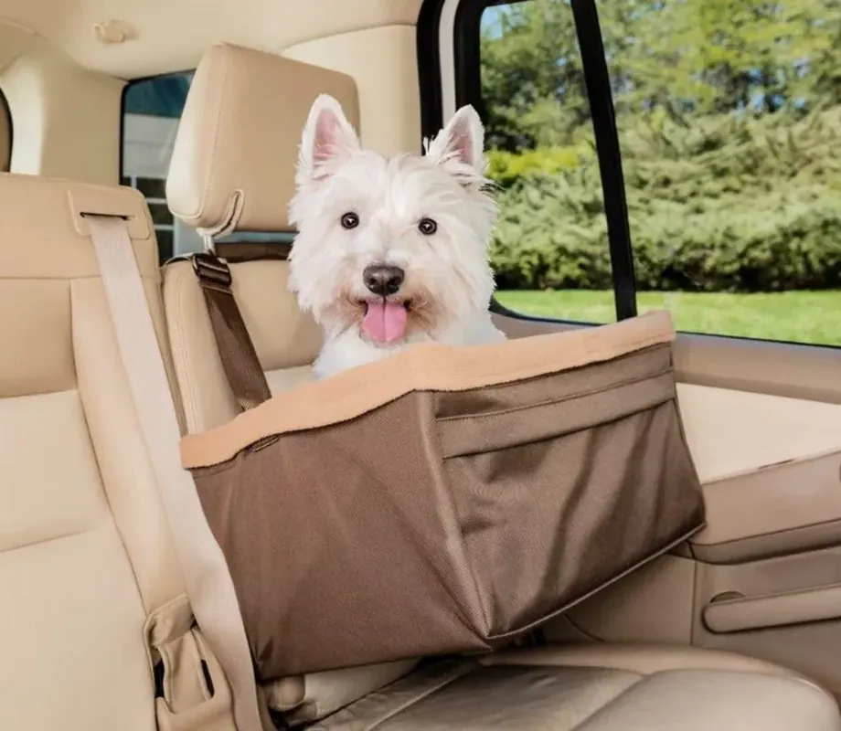Exclusieve Aanbieding Solvit Tagalong Booster Seat - Standaard, Medium