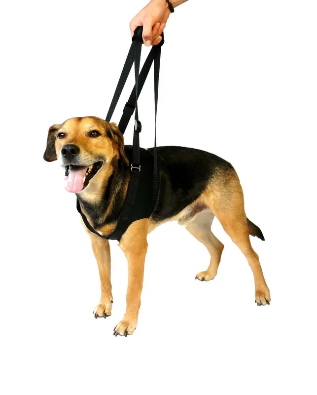 Tijdelijk Beschikbaar Vetlando Loophulp XL Zwart 70-80cm - 35-50kg