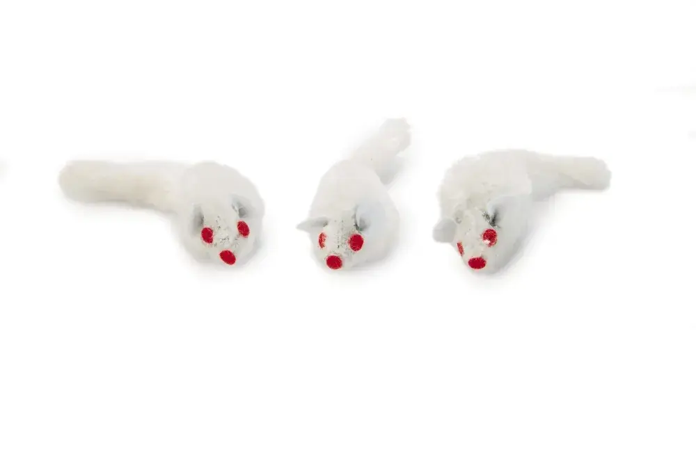 Koop Online Beeztees Plush Muisje Wit Zakje (3 Stuks)