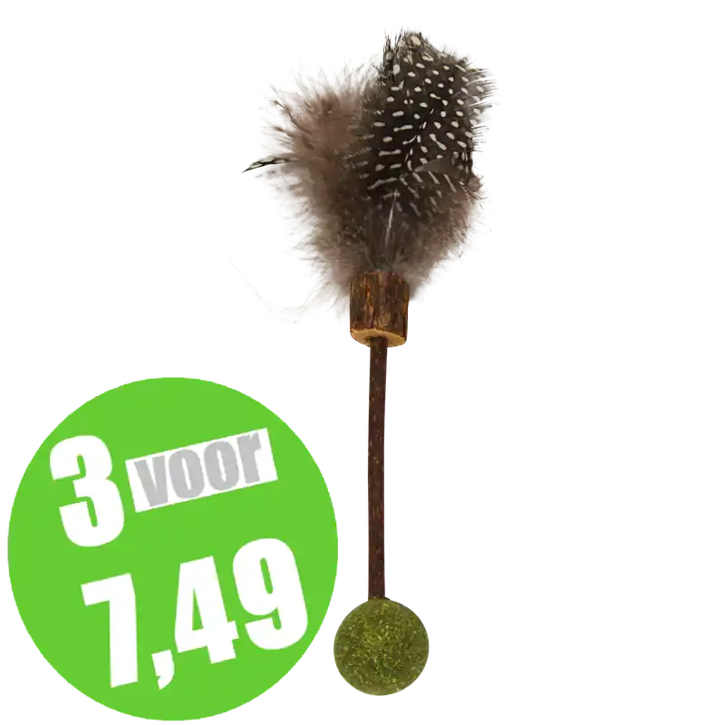 Premium Jack & Vanilla Herbals Kattenkruid & Matatabi Stok & Bal Met Veer 15,5 cm