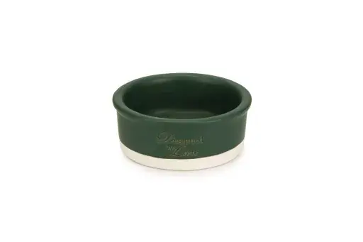 Weekendaanbieding Designed by Lotte Joa - Kattenvoerbak - Keramiek - Groen - 12x12x4 cm