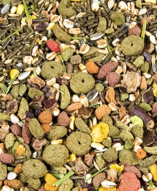 Boer Allround mix knaagdier 4kg Must-Have