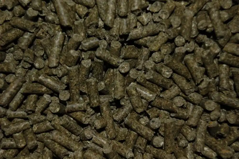 Boer Caviakorrel 5kg Direct Beschikbaar