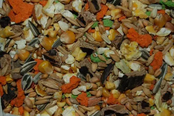 Knabbelmix Zonder Korrel 15 kilo Must-Have