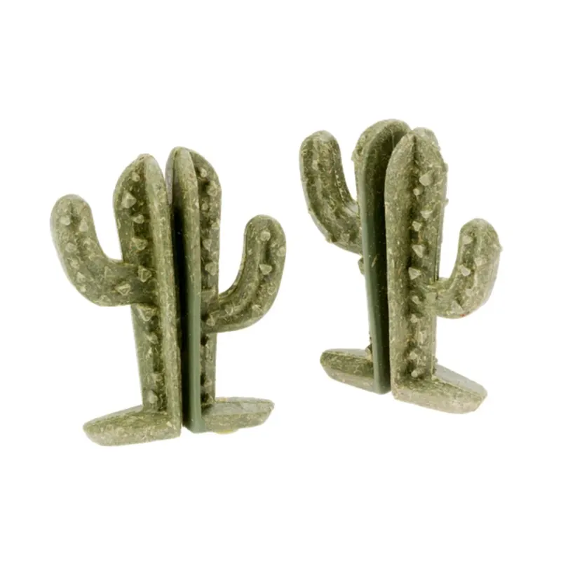 Laatste Kans Veggie Bites Cactus 2 st.