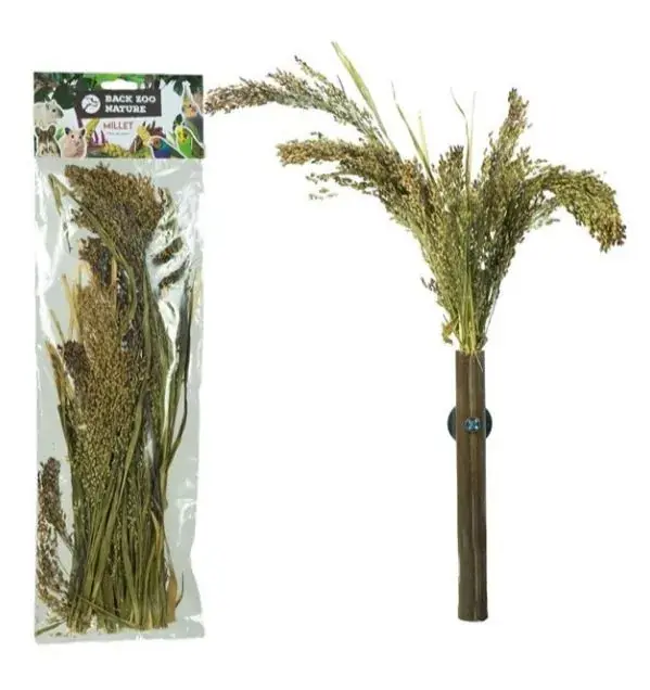 Back Zoo Nature Panicum Rechtstreeks Van De Fabrikant
