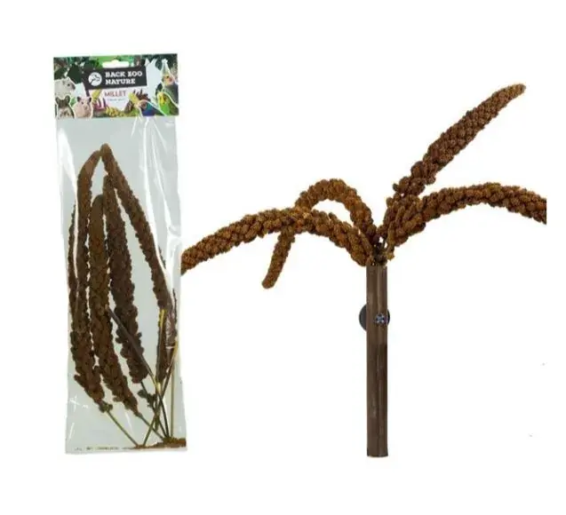 Back Zoo Nature French Millet Sprays Red 150 gram Direct Beschikbaar