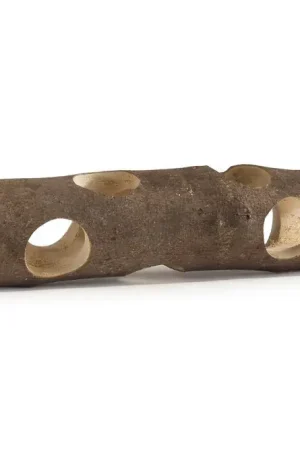Forest Holle Boomstam 20x3,2 cm Speciale Aanbieding