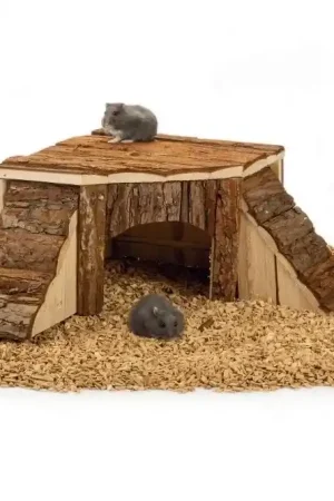 Beeztees Forest Hoekhuis Klein 35x35x16 cm Dagaanbieding