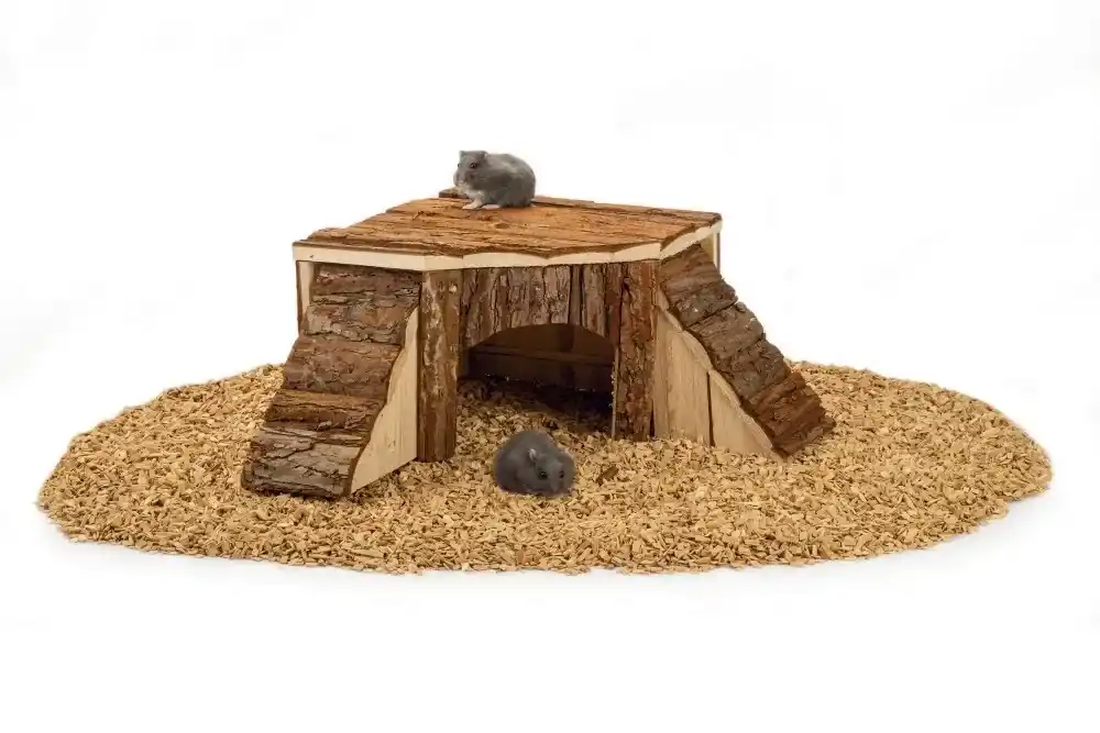 Beeztees Forest Hoekhuis Klein 35x35x16 cm Dagaanbieding