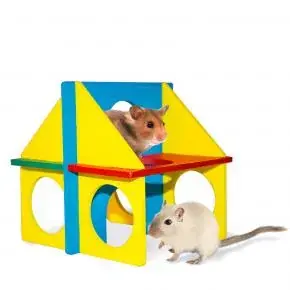 Gecertificeerd Diy Fun House 14x11 cm Gemengde Kleuren