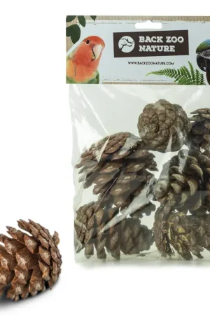 Back Zoo Nature Forest Pine Cones for Birds Express Levering