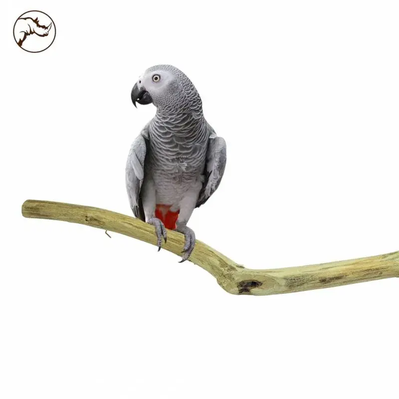 Back Zoo Nature Teak Perch Long 1 meter Voordeelprijs