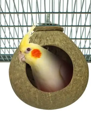 Back Zoo Nature Coconut House Lage Kosten