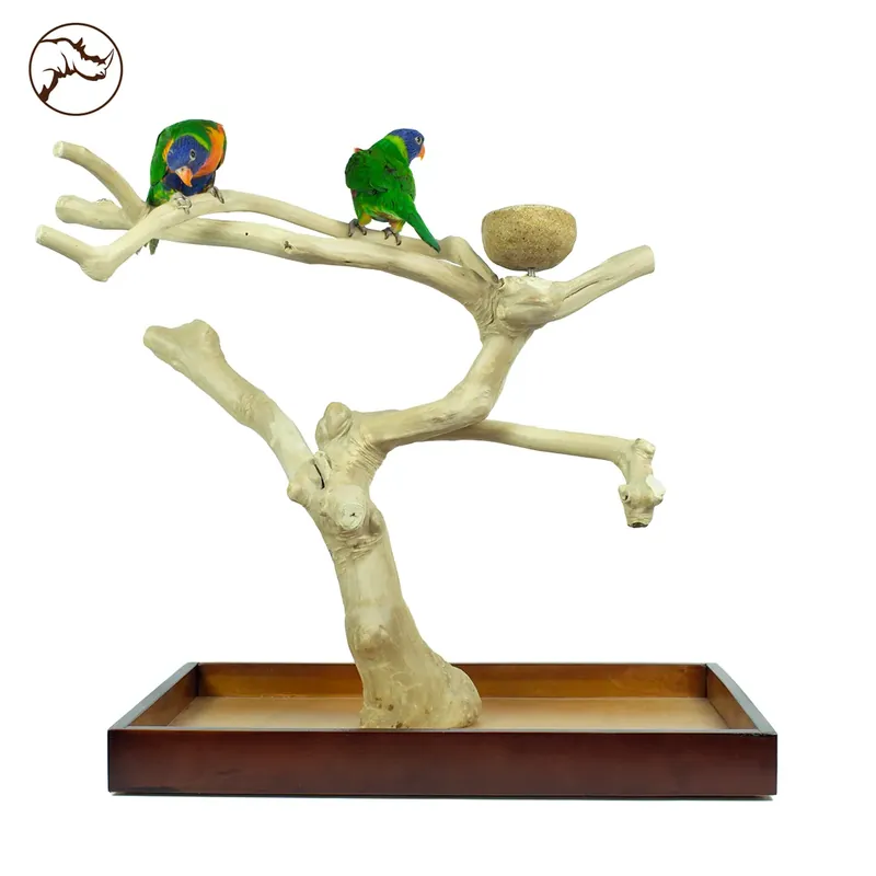 Nieuw Back Zoo Java Playstand Medium