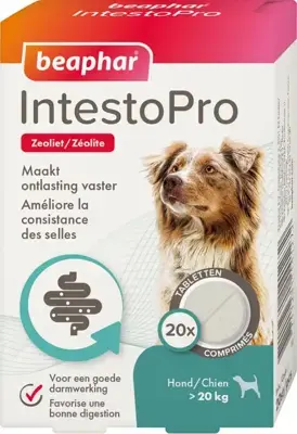 Beaphar IntestoPro tabletten hond vanaf 20kg Aanbieding