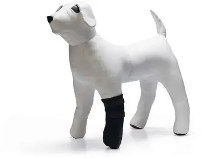 Beste Prijs Beeztees beschermingsschoen neopreen 25x14x3cm zwart