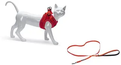 Beeztees Parinca kattentuig met lijn rood S/M Snelle Levering
