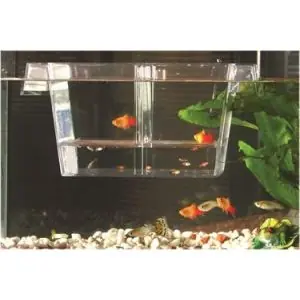 Aquarium onderhoud & techniek Flitsaanbieding