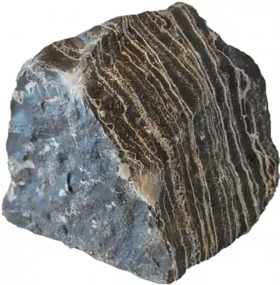 Aquarium steen leopard stone S Goedkoop