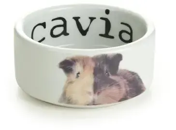 Beeztees caviavoerbak Snapshot keramiek 200ml d10h4cm wit Express Levering