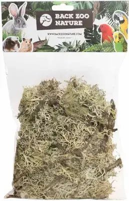 Back Zoo Nature Discovery Branch Moss – 50 g Beperkte Voorraad