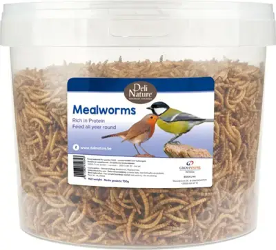 Actieprijs Meelwormen 700g