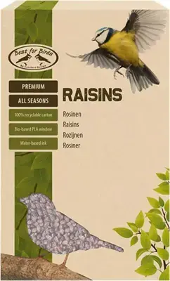 Betaalbaar Esschert Design Rozijnen 600g