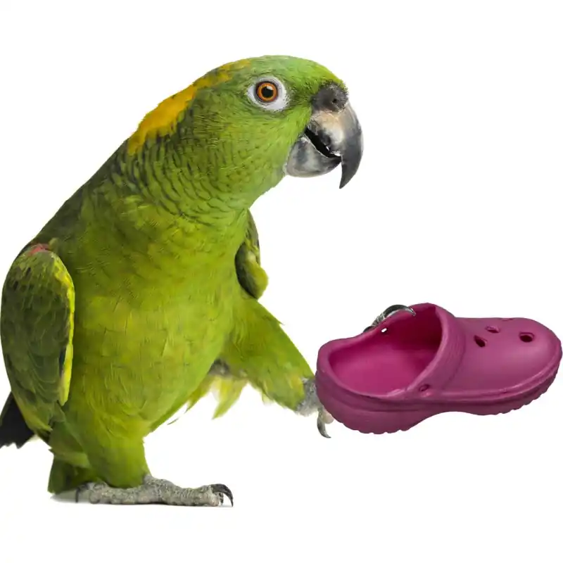 Super Bird Creations Croc Koop Online